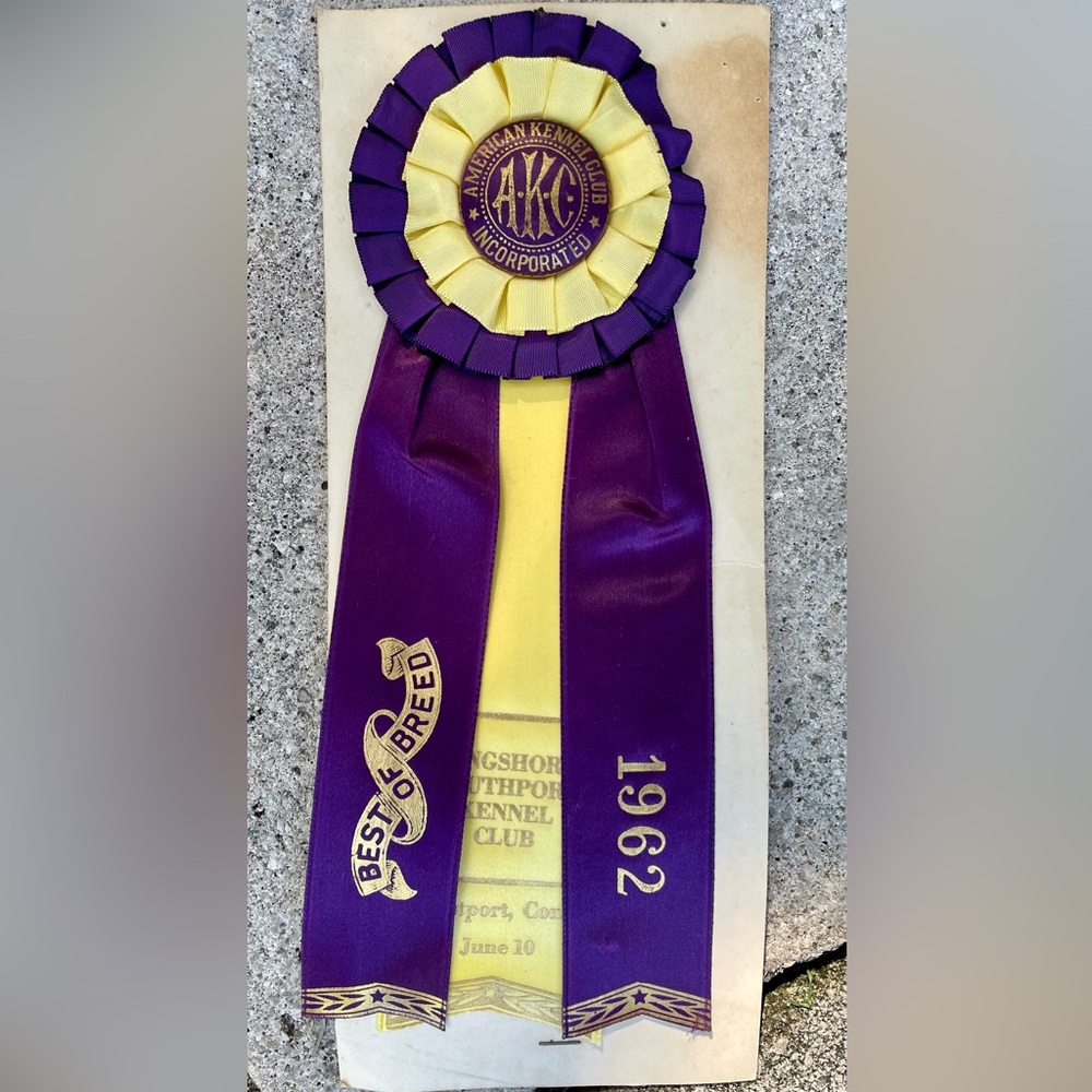 Vtg 1962 AKC KENNEL CLUB Ribbon